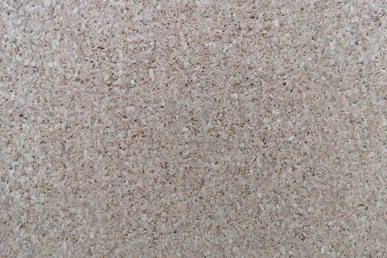 לוח שעם - תקריב